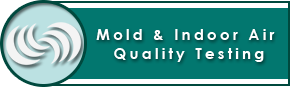 Mold & Indoor Air Quality Testing with the Home Inspector